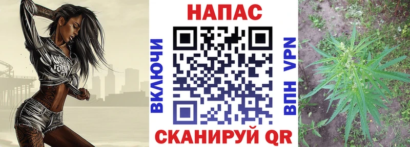 как найти закладки  Ильский  Каннабис план 